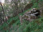 IMG_0239_920